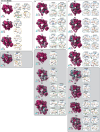 Extended Data Fig. 4