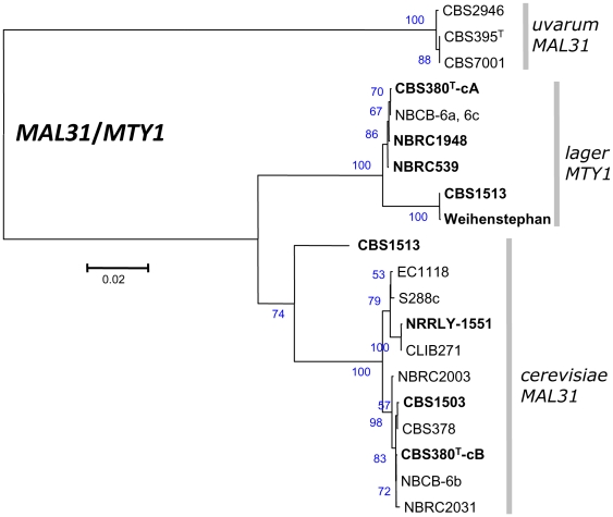 Figure 7