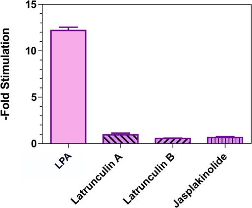 FIGURE 3: