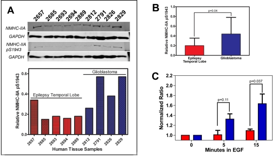 FIGURE 7: