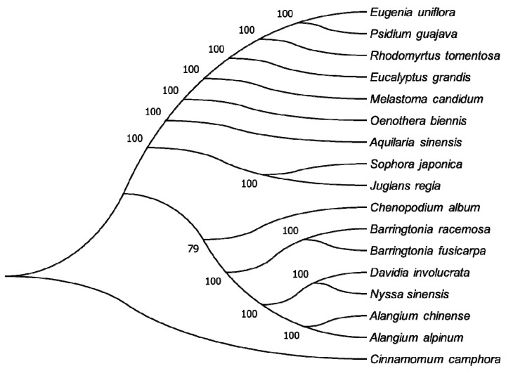 Figure 7