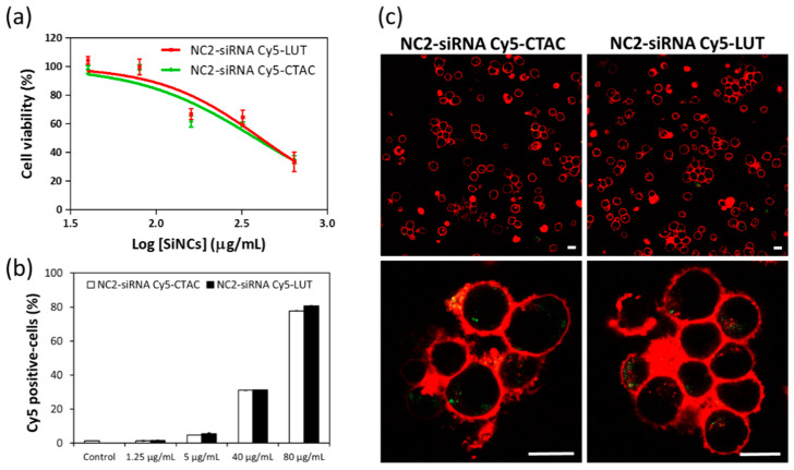 Cellular Uptake of siRNA-Loaded Nanocarriers to Knockdown PD-L1 ...