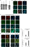 FIGURE 7: