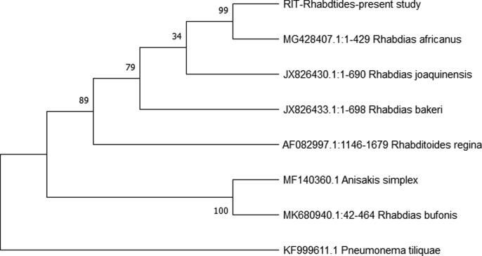 Fig. 4