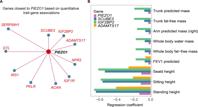 Fig 6