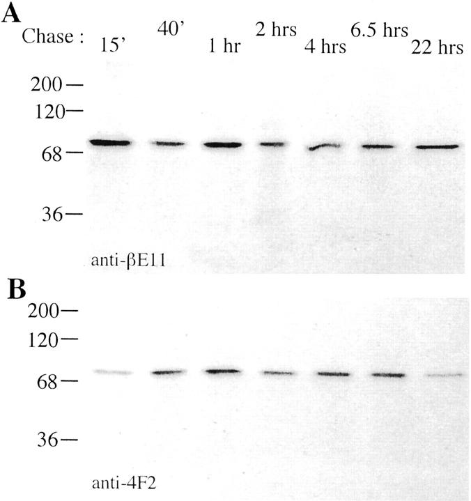 Figure 8.