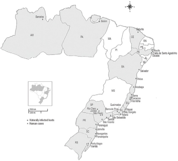 Distribution map of Angiostrongylus cantonensis and
angiostrongyliasis cases in Brazil. AL: Alagoas; AM: Amazonas; BA: Bahia; CE:
Ceará; ES: Espírito Santo; MA: Maranhão; MG: Minas Gerais; PA: Pará; PB: Paraíba;
PE: Pernambuco; PI: Piauí; PR: Paraná; RJ: Rio de Janeiro; RN: Rio Grande do
Norte; RS: Rio Grande do Sul; SC: Santa Catarina; SE: Sergipe; SP: São
Paulo.