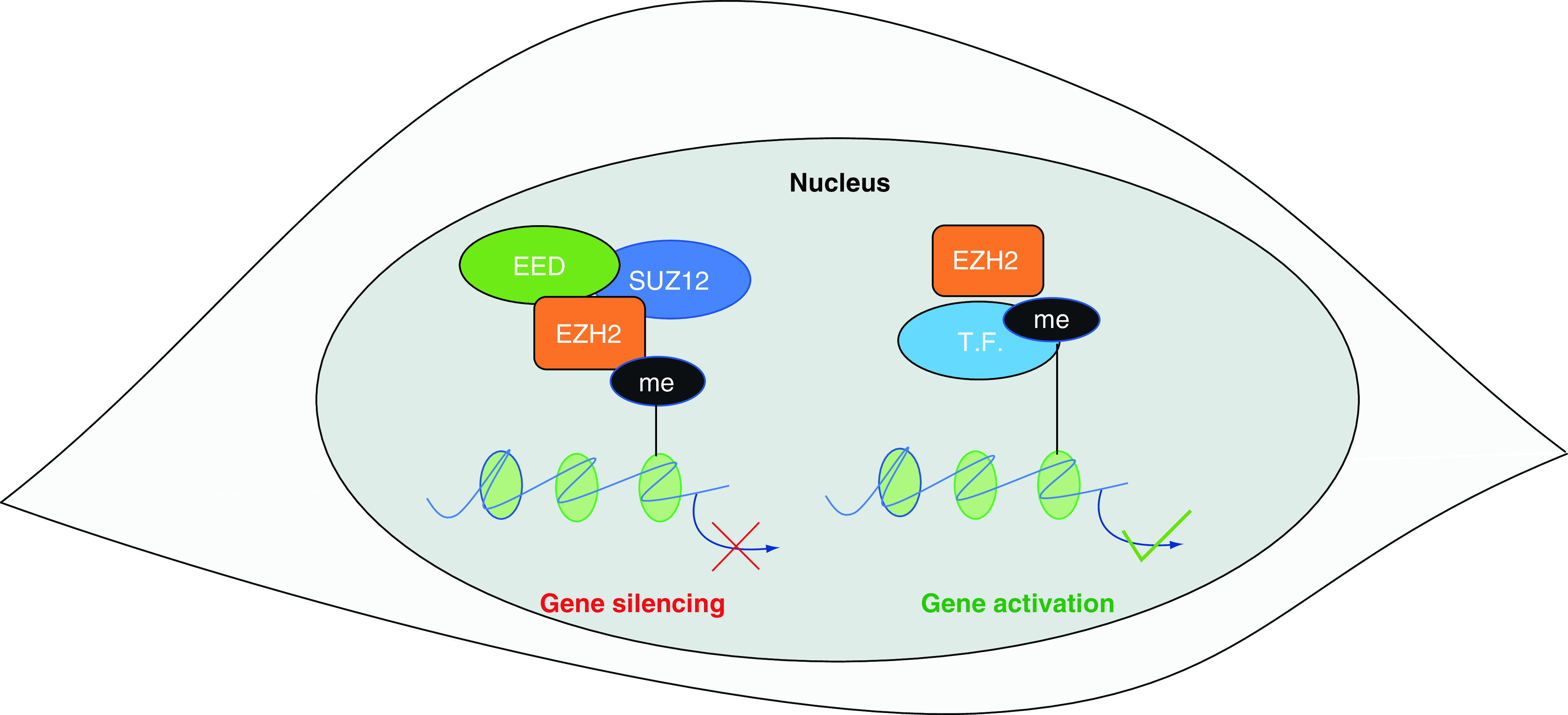 Figure 2. 