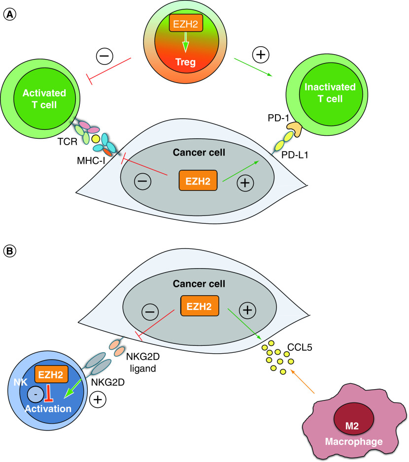 Figure 3. 