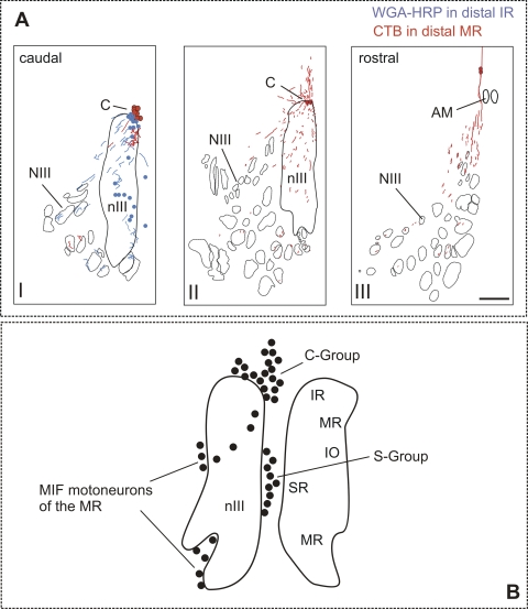 Figure 5.