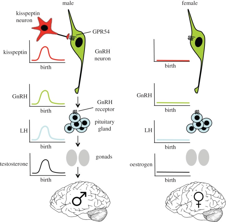 Figure 2.