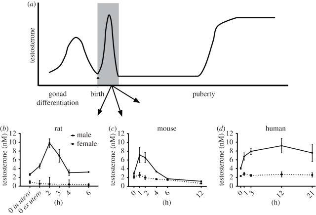 Figure 1.