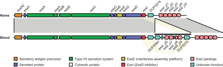 FIG 5