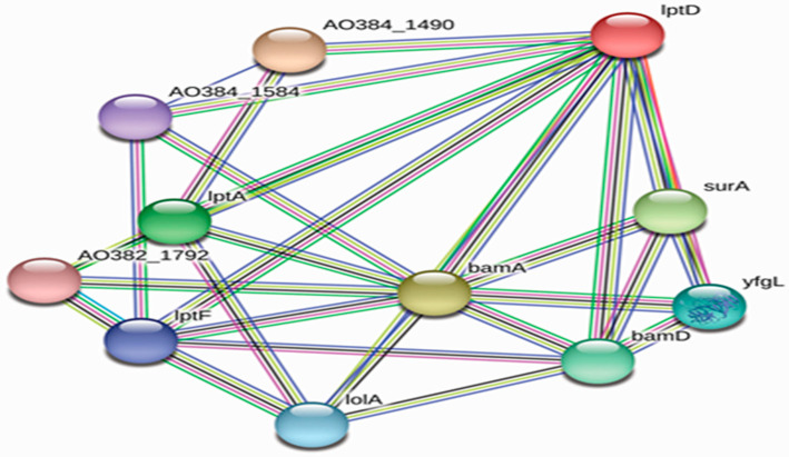 Figure 2