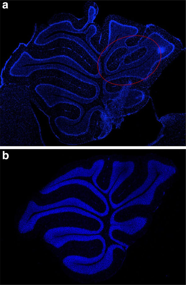 Fig. 5