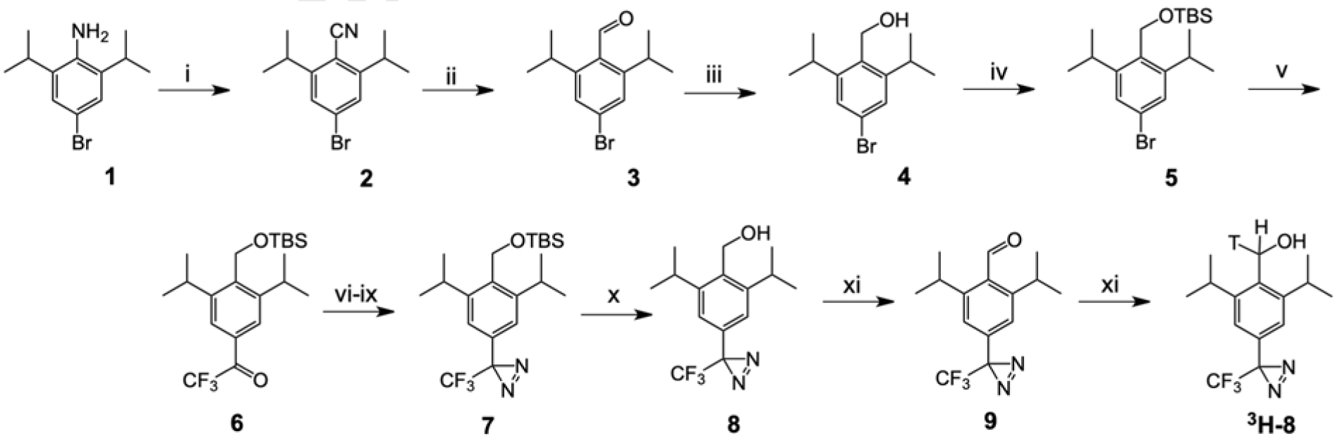 Scheme 1.