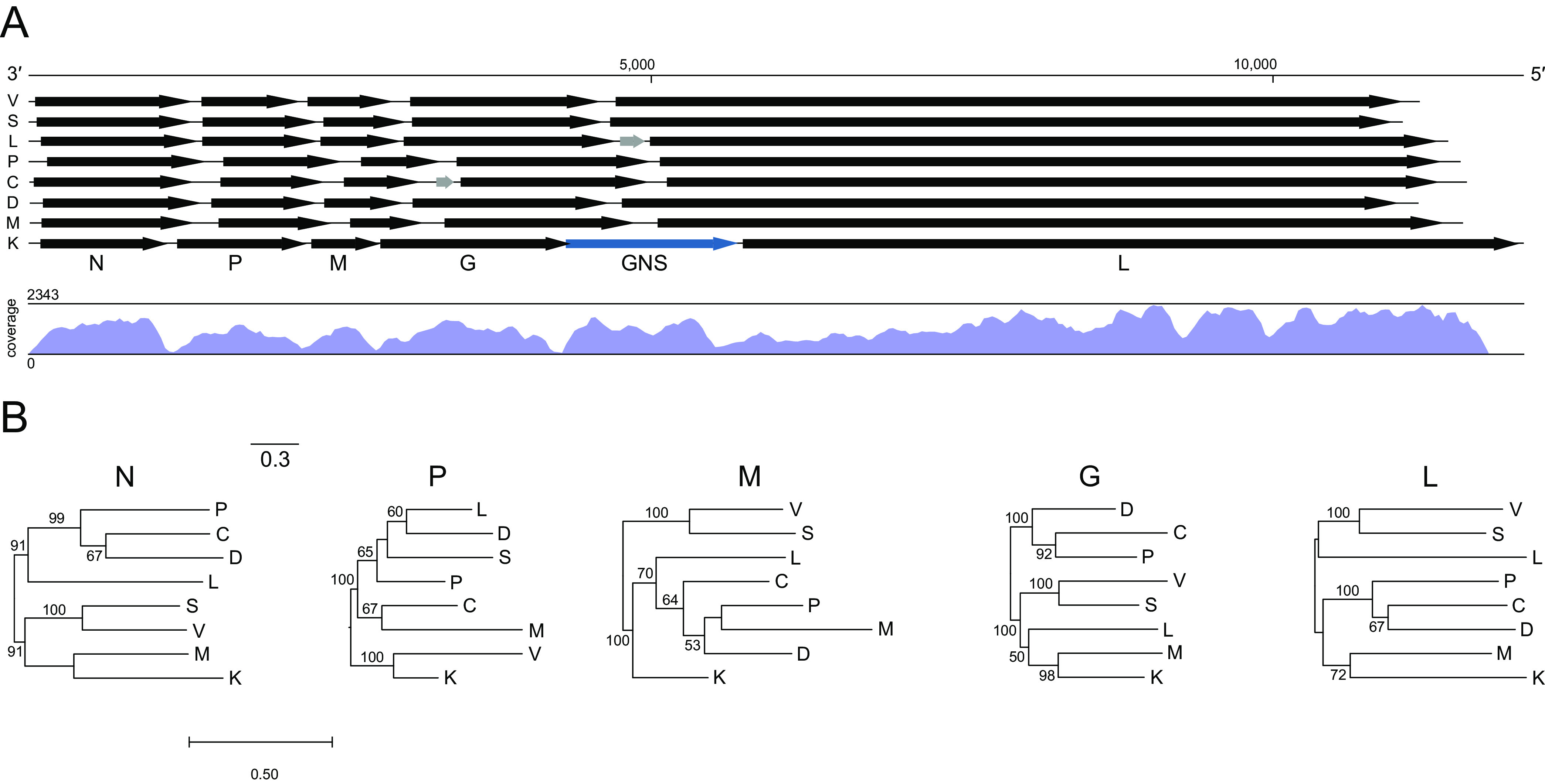 FIG 2