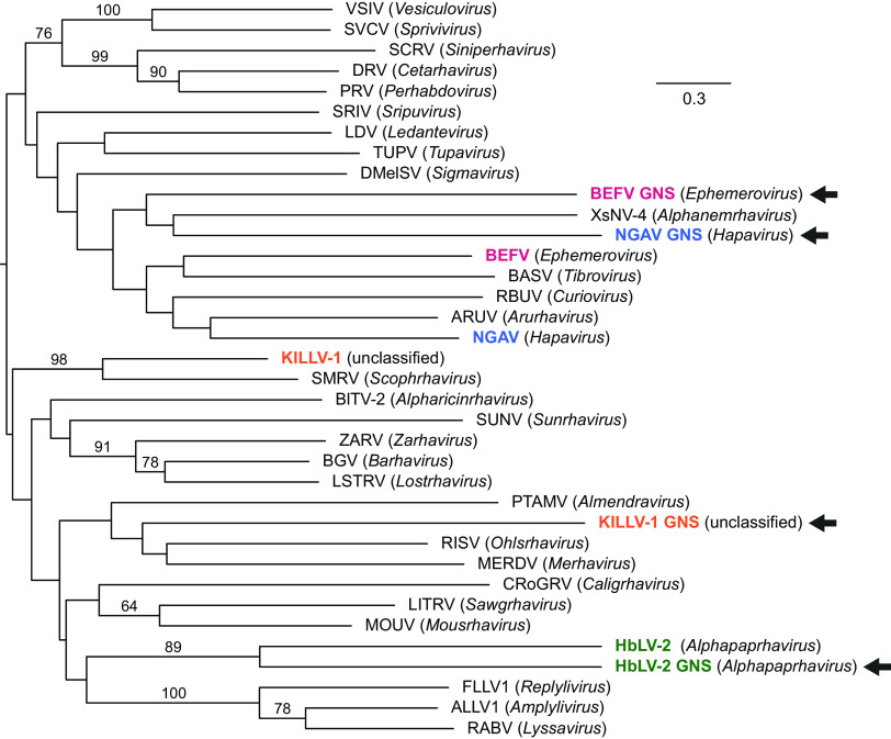 FIG 6