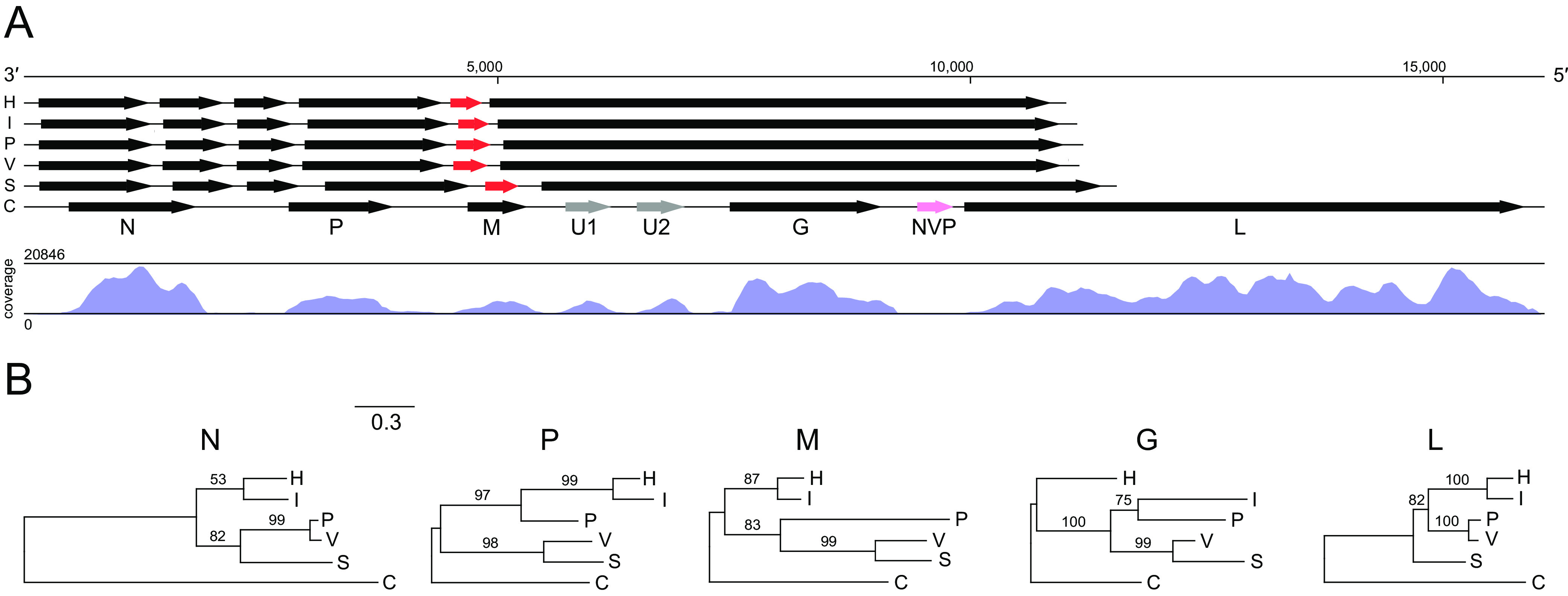 FIG 3