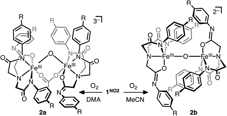 Scheme 2