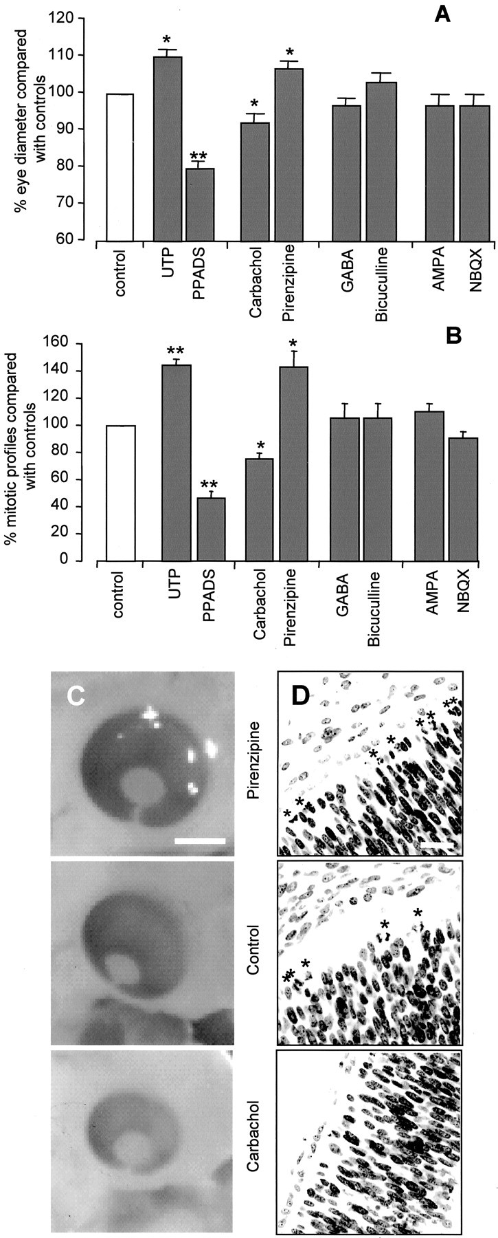 Fig. 9.