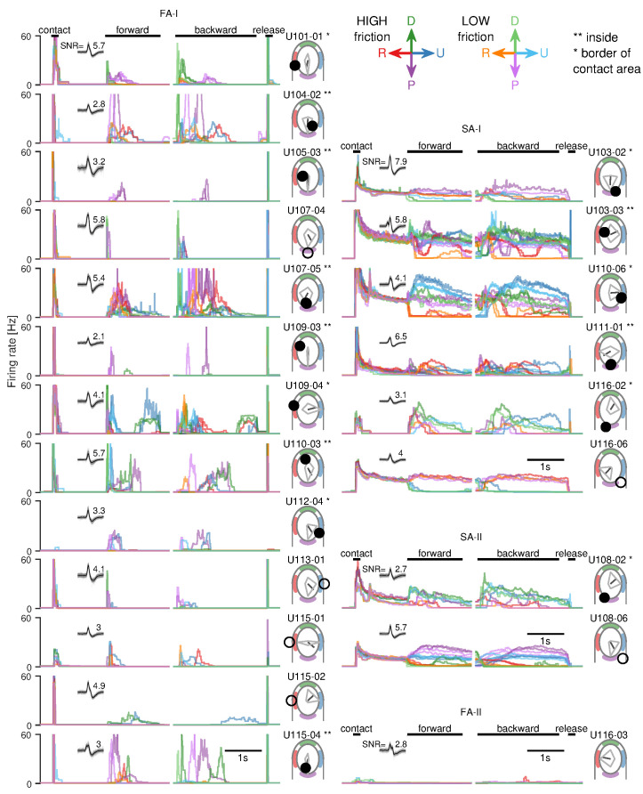 Figure 2—figure supplement 1.