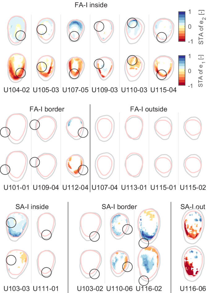 Figure 5—figure supplement 1.