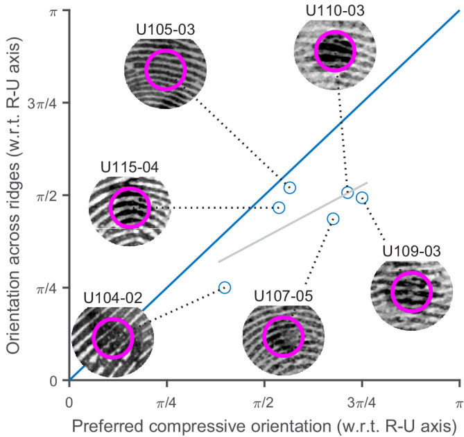 Figure 6—figure supplement 2.