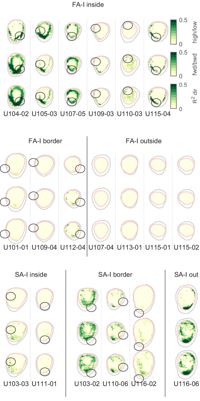 Figure 5—figure supplement 2.