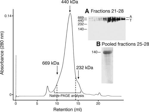 FIG. 1.