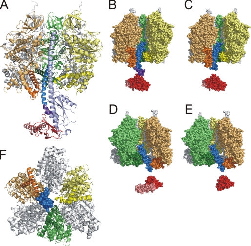 FIGURE 1.