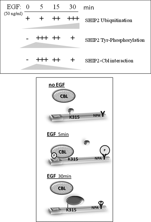 FIGURE 9.