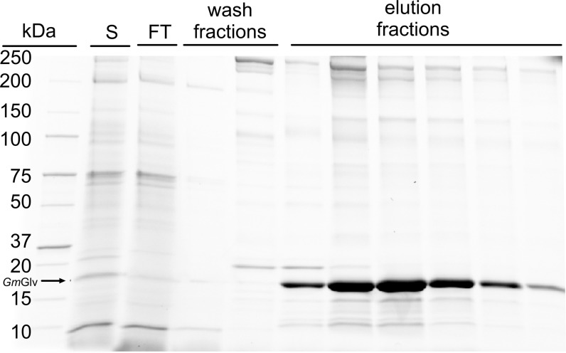 Fig. 7