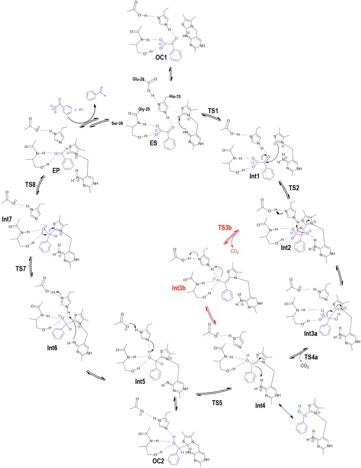 Scheme 2