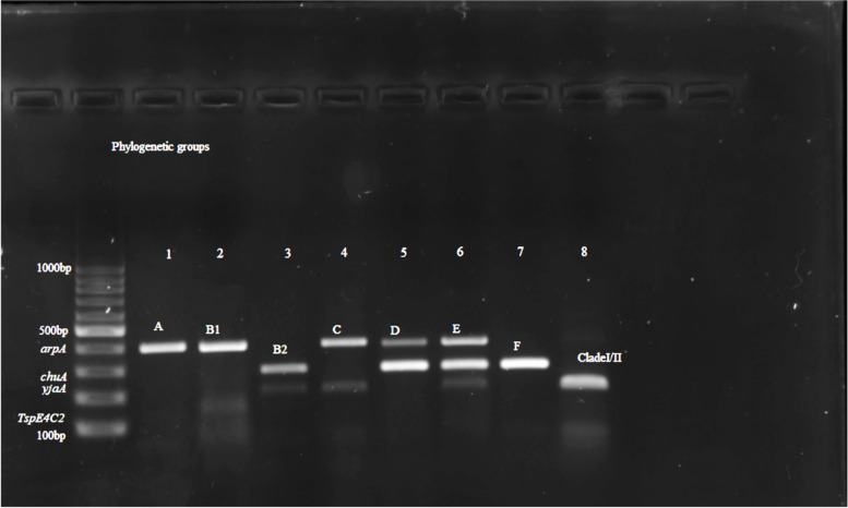 Fig. 8