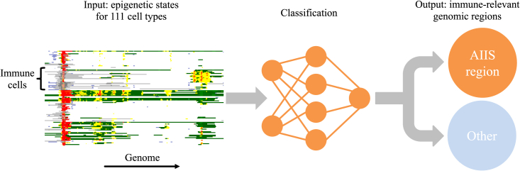 Figure 1