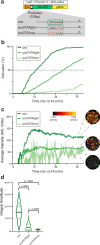 Fig. 3