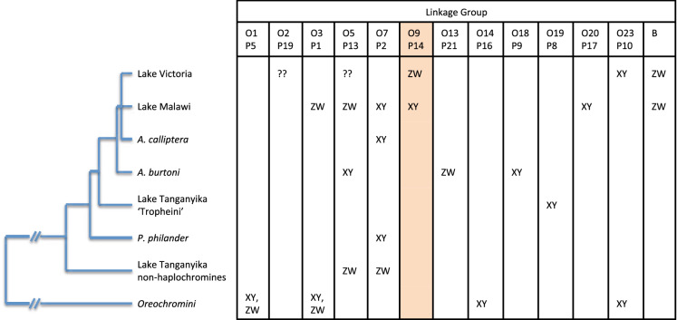 Fig. 6