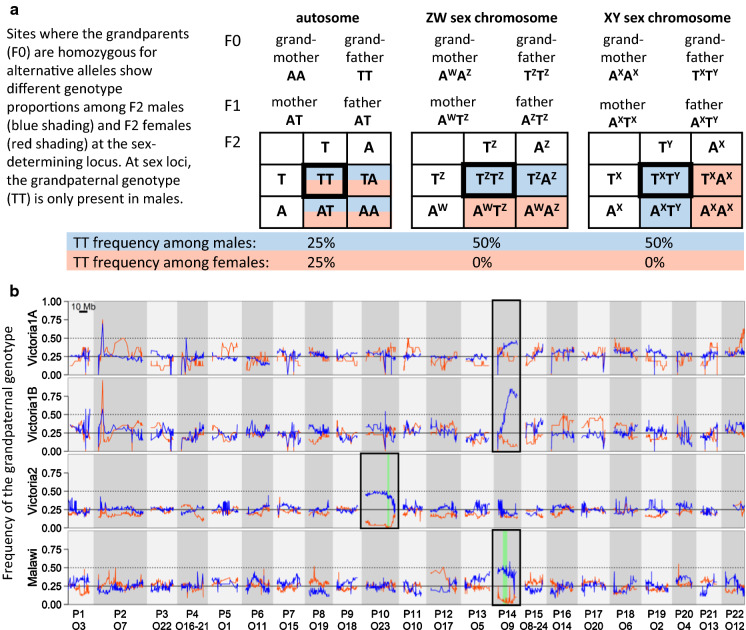 Fig. 2