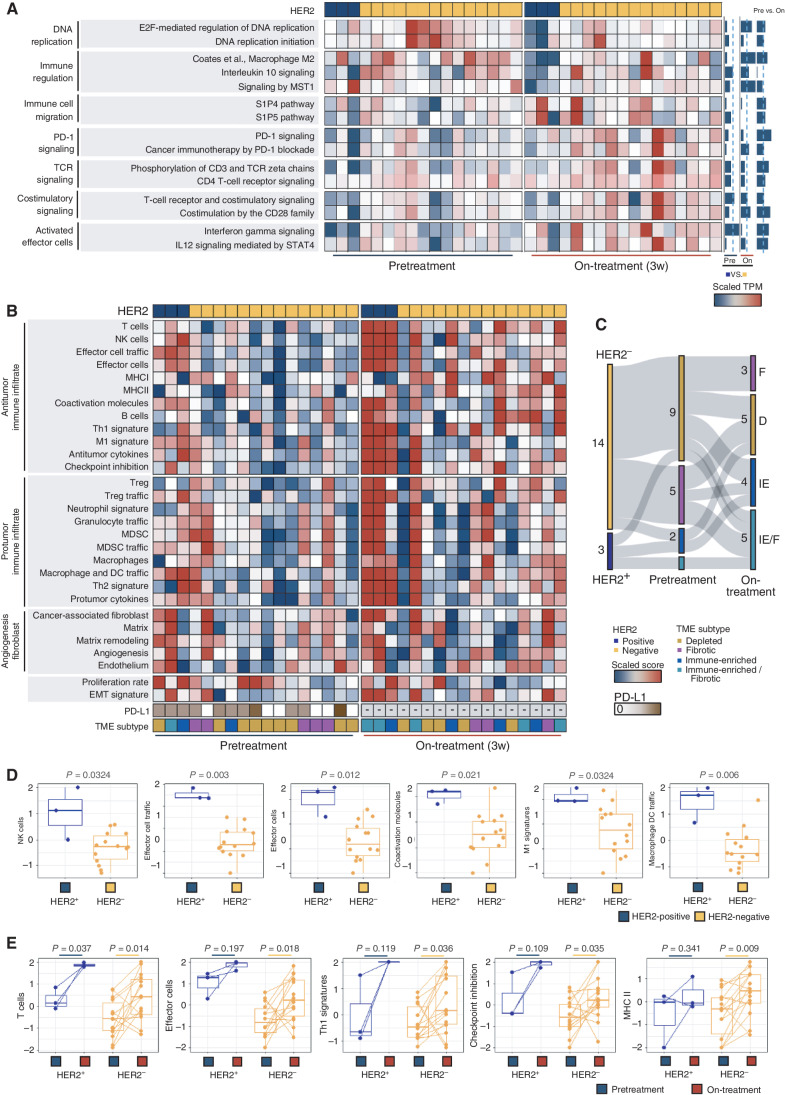 Figure 4. Independent validation of TME remodeling during 5-FU/platinum chemotherapy. A, Heat map of GSVA scores of representative pathways across pretreatment and on-treatment samples. B, Heat map demonstrating changes in relative TME composition, including changes in TME subtype signatures. The negative sign indicates unavailable PD-L1 expression status. C, Sankey plot demonstrating a dynamic change of TME subtype between pretreatment and posttreatment samples. D and E, Activity of selected molecular functional portraits (D) in pretreatment TME of HER2-positive (n = 3) and HER2-negative (n = 14) tumors, and (E) in on-treatment compared with pretreatment samples. Th1, T helper 1 cell; Th2, T helper 2 cell; TCR, T-cell receptor; EMT, epithelial–mesenchymal transition; PR, partial response; SD, stable disease; PD, progressive disease.