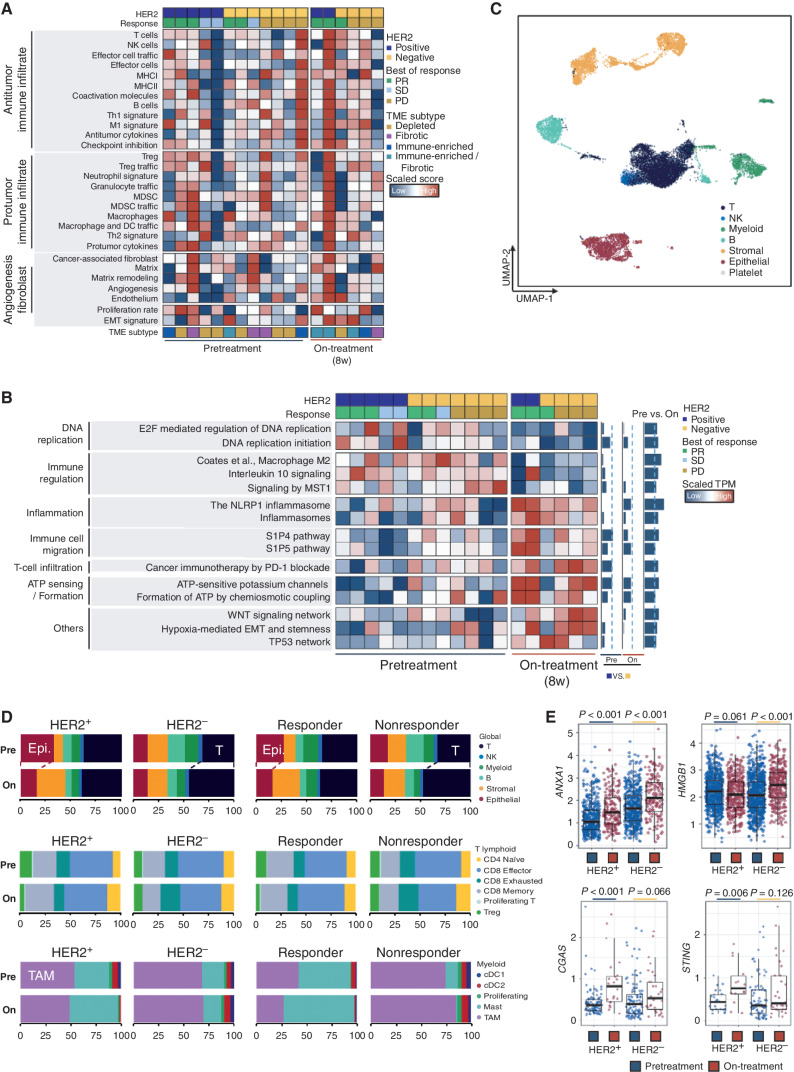 Figure 2. 5-FU and platinum remodel the TME in AGC. A, Immune score of pretreatment and on-treatment samples from patients with HER2-positive and HER2-negative AGC (left), and responders and nonresponders (right). Heat map of GSVA scores of representative pathways across pretreatment (n = 12) and on-treatment (n = 6) samples (B). We performed the Wilcoxon signed-rank test to assess the differences in G-scores between pretreatment and posttreatment samples, between HER2-positive and HER2-negative pretreatment samples, and between HER2-positive and HER2-negative posttreatment samples. The P values are illustrated on right side of the heat map using bar plots. EMT, epithelial–mesenchymal transition. C, Uniform manifold approximation and projection (UMAP) embedding of 18,911 cells (10,651 cells from pretreatment samples and 8,260 cells from posttreatment samples). Multiple clusters represent various cell types in the TME of AGC. D, Relative proportion of cell subtypes of pretreatment and on-treatment samples from patients with HER2-positive and HER2-negative AGC (left), and responders and nonresponders (right). Global cell types, T-cell, and myeloid subpopulations are illustrated in top, middle, and bottom plots, respectively. E, The RNA expression of genes involved in innate immune response and immunogenic cell death: ANXA1, HMGB1, CGAS, and STING. We estimated the expression using scRNA-seq of pretreatment and posttreatment samples from patients with HER2-positive and HER2-negative AGC. The box plots describe the median and interquartile range of the expression. The P values were estimated by the Wilcoxon signed-rank test.