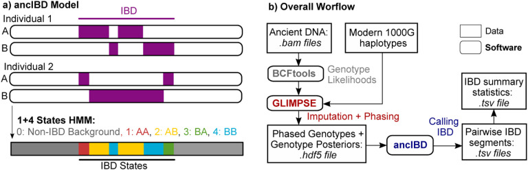 Figure 1: