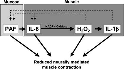 Fig. 2.