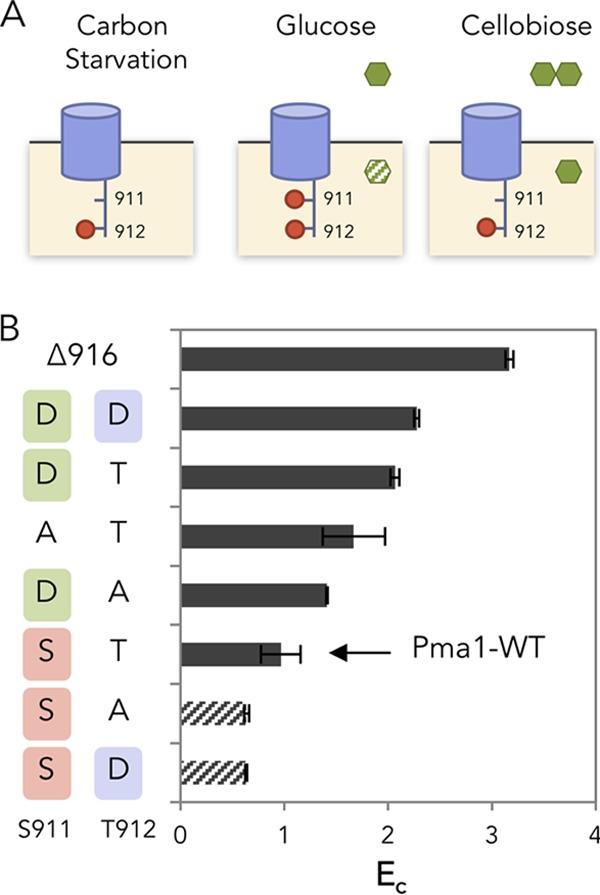 FIG 3 