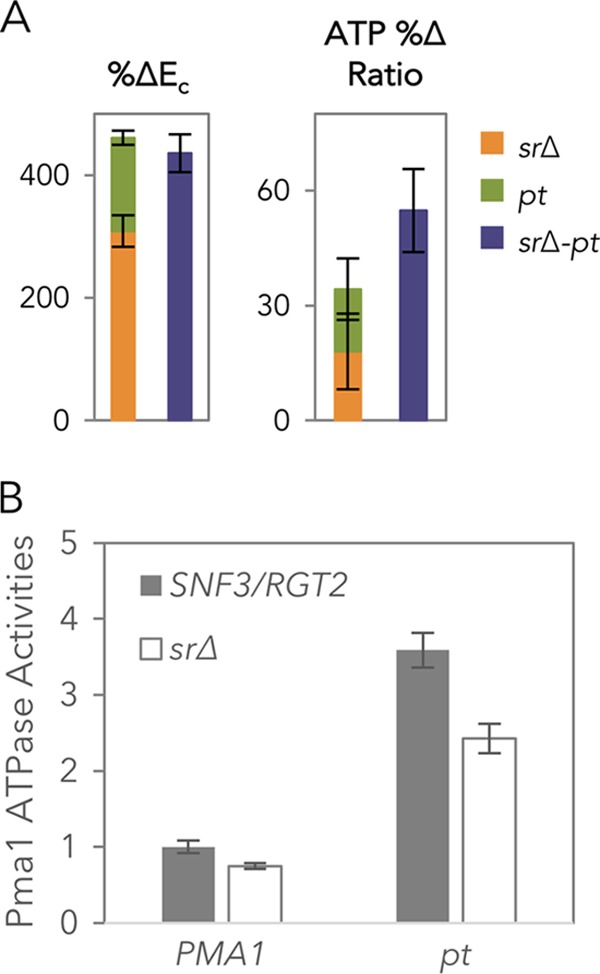 FIG 5 