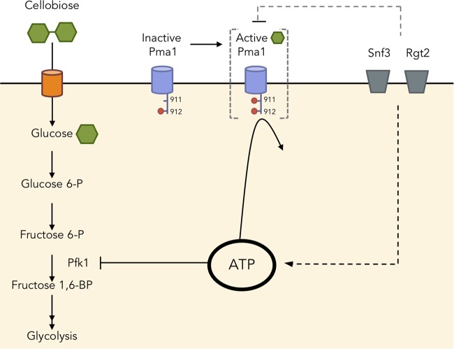 FIG 6 