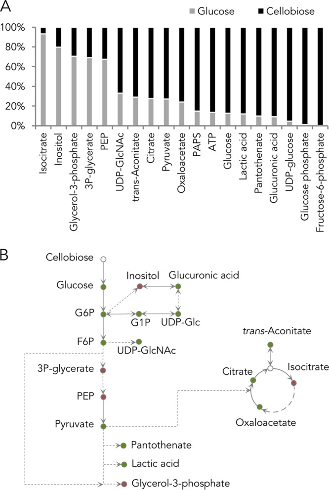 FIG 1 