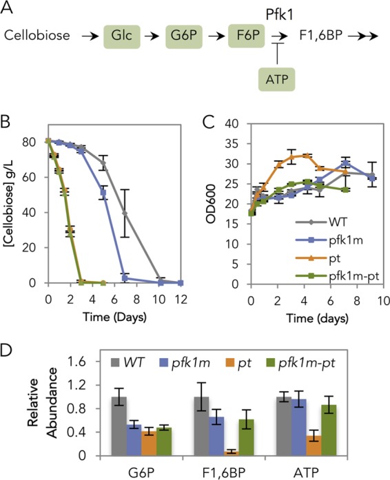 FIG 2 