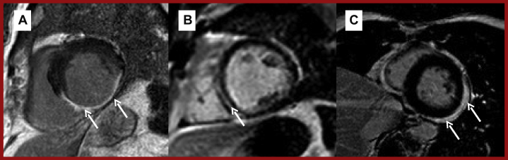 Figure 7