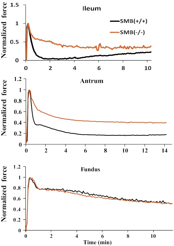 Fig. 3.